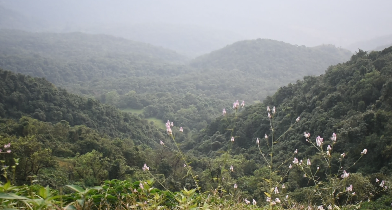 Amboli Ghats