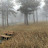 Jack Western avatar image