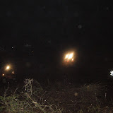 13 Februari 2012: Lieren