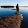 Patrick Collins Patrick Collins's profile photo