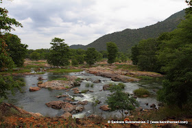The green Cauvery surroundings