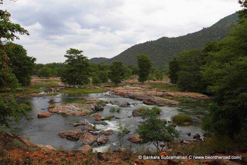 The green Cauvery surroundings