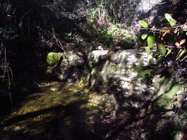a wide 2 foot cliff with a bit of water flowing over into a shallow pool