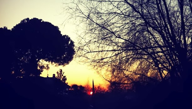 Cover photo