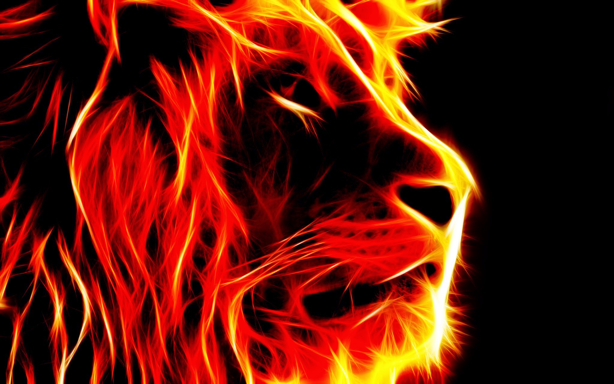  - Fire-lion-PC-Wallpaper-Free
