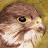 Marion Brown avatar image