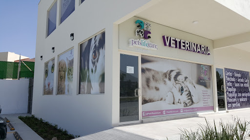 Pets Life & Care Veterinaria Suc. Madeira, Av Madeira, Cumbres del Sol, N.L., México, Cuidados veterinarios | NL