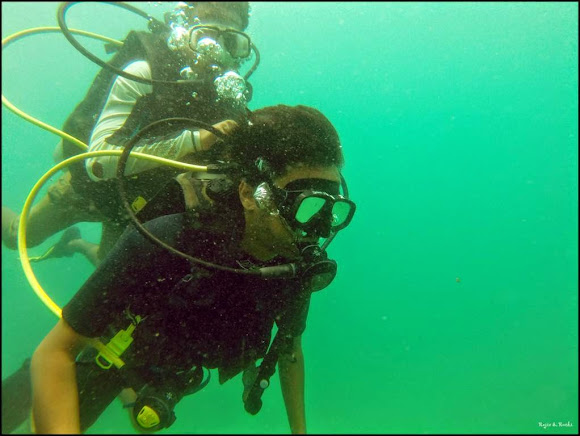 scuba diving in havelock