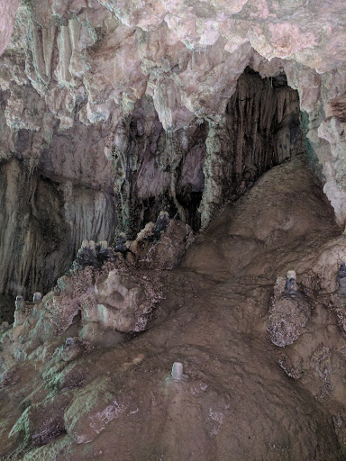 Non-Profit Organization «Westcave Outdoor Discovery Center», reviews and photos, 24814 Hamilton Pool Rd, Round Mountain, TX 78663, USA