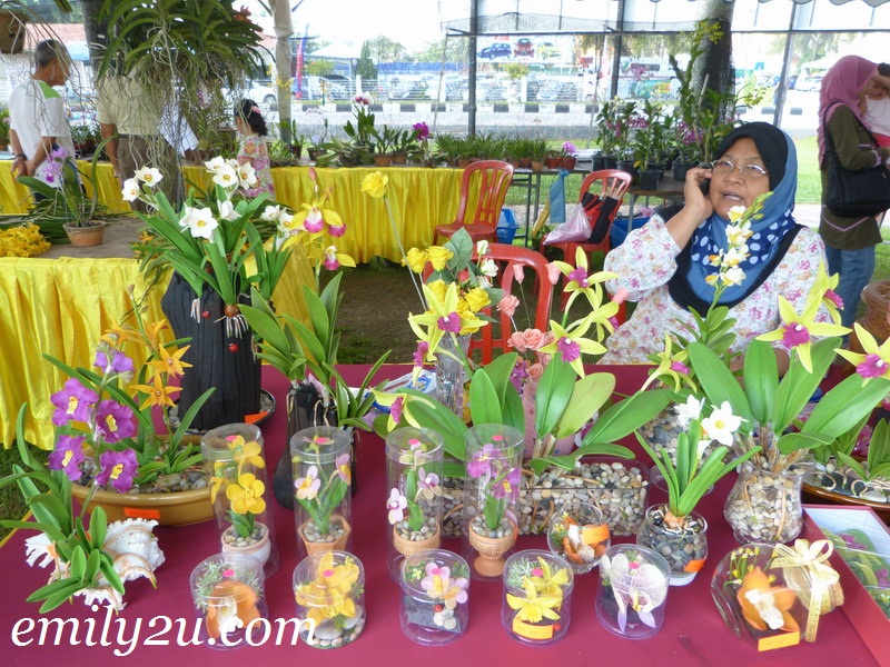 orchid competition