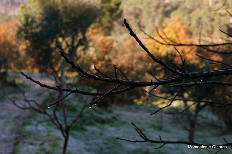 Inverno, Póvoa Dão