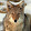 LonelyCoyoteCreations LonelyCoyoteCreations's profile photo