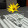 Reinhard Jung Reinhard Jung's profile photo