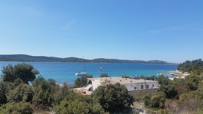 Photos of Pina