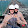 Brad Friedman Brad Friedman's profile photo