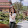lan hoa lan hoa's profile photo