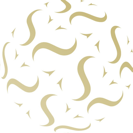 Salon SEN logo