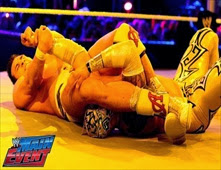 WWE Main Event 2014/01/22