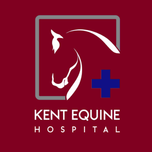 Newnham Court Equine Clinic