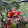 Steeve Lavoie Steeve Lavoie's profile photo