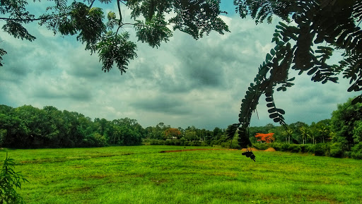 Nalumanikattu, Manarkadu-Thiruvanchoor Rd, Thiruvanchoor, Kottayam, Kerala 686019, India, Park_and_Garden, state KL