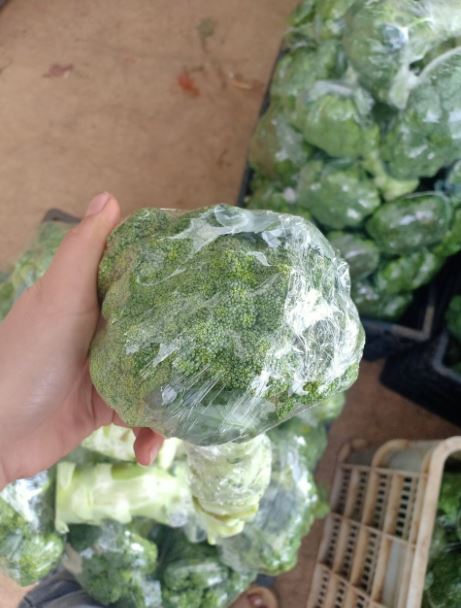 Màng bọc thực phẩm M Wrap Thái Lan Màng bọc thực phẩm M Wrap Thái Lan