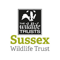 Sussex Wildlife Trust Sussex Wildlife Trust