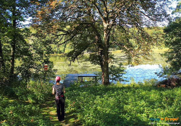 Na trasie Nordic Walking w Hejtusie - staw przed leśniczówką