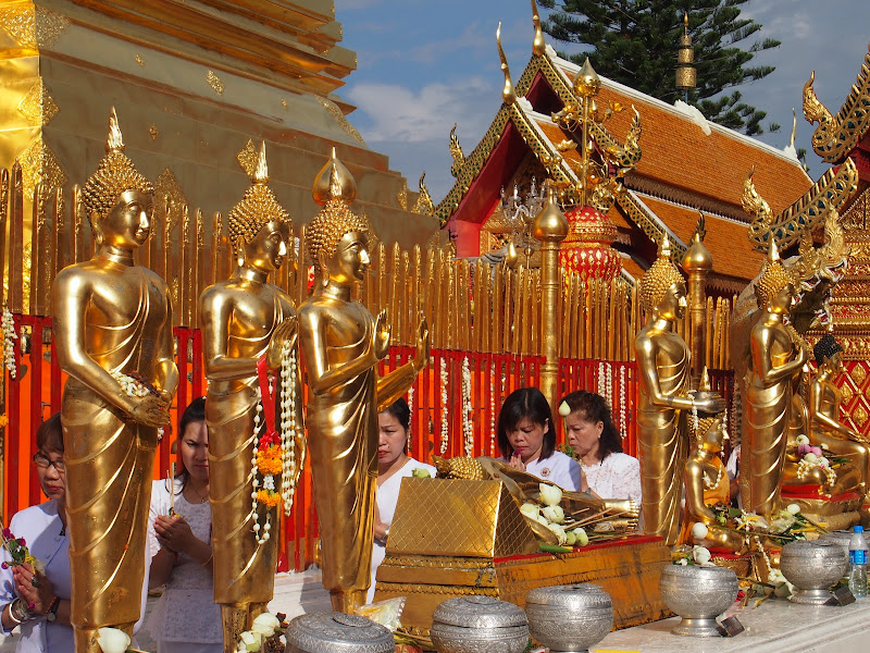 Por Tierras de Siam - Blogs de Tailandia - Chiang Mai - Tiger Kingdom / Maetaeng Elephant Park/ Wat Doi Suthep (31)