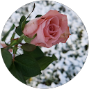 Image Google de laure