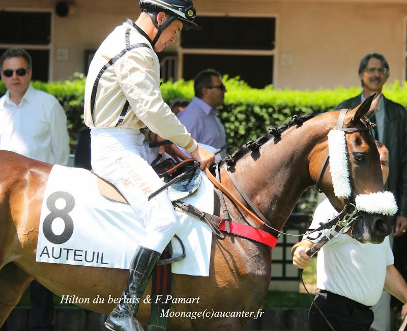 Photos Auteuil 8-06-2014  IMG_1619