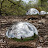 Mark Cookson avatar image