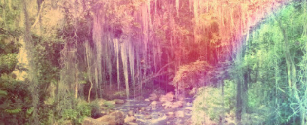 Cover photo