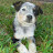 Tim g avatar image