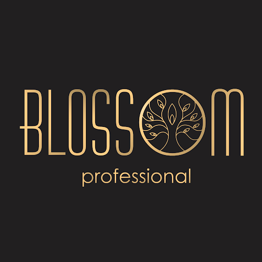 Blossom Nail & Beauty Room logo