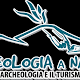 Archeologia a Napoli. Servizi per l'Archeologia e per il Turismo Culturale
