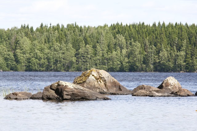 Parc national de Liesjärvi