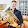 Pasquale Cerone Pasquale Cerone's profile photo