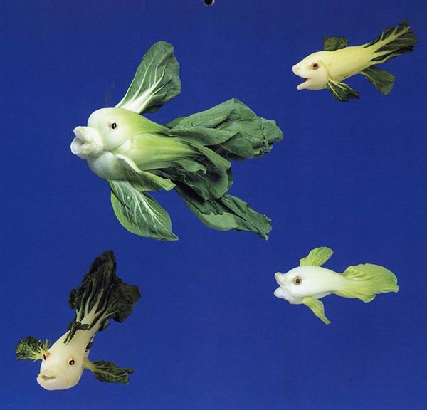 Food Art - Cabbage Fish