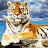 Martin Gargan avatar image
