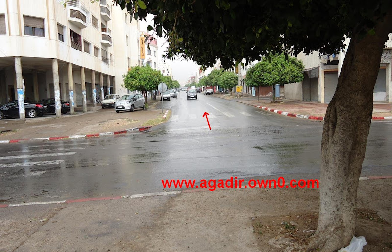 شارع عمر ابن الخطاب حي الموظفين بمدينة اكادير DSC02135