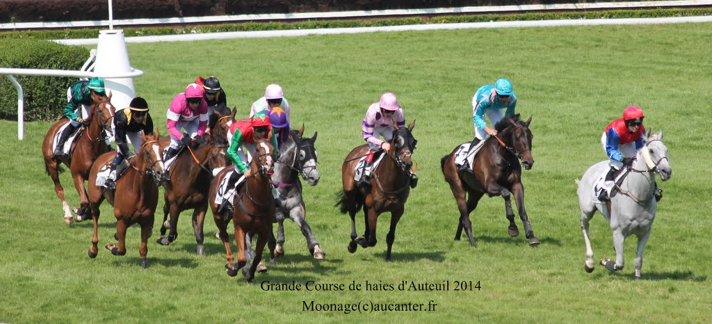 Photos Auteuil 8-06-2014  - Page 2 IMG_1880
