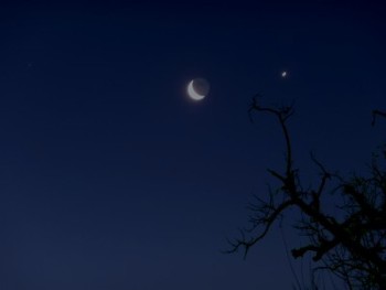 Venus y la Luna