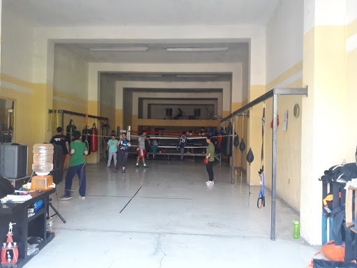 Champs Box Calera, 98500 Centro, Calle Juárez 108, Centro, Zac., México, Escuela de artes marciales | ZAC