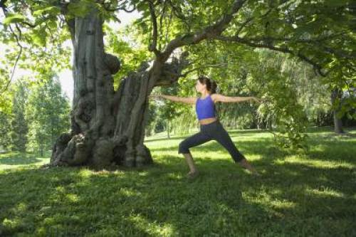 What Are The Benefits Of Hatha Yoga Poses