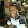 Jefferson Seraphim Jefferson Seraphim's profile photo