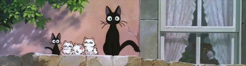 gatinhos.gif