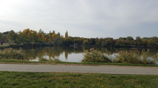 Nyiregyházi Vadaspark
