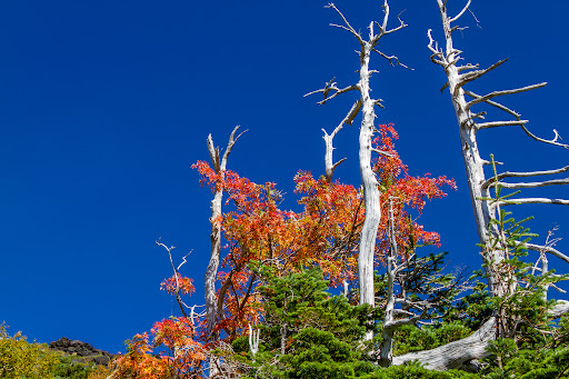 Mount Ontake