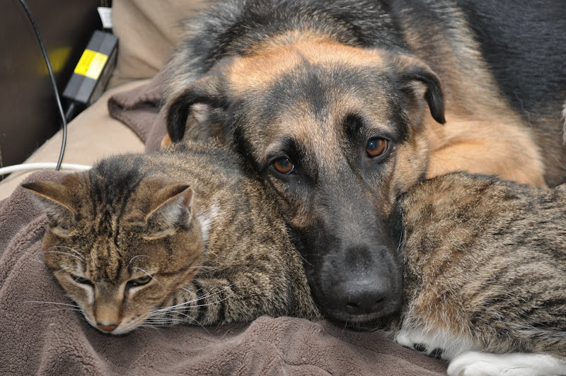 DSC_0055.JPG